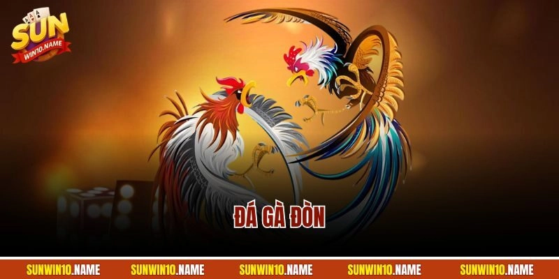 Đá Gà Đòn – Hình Thức Chọi Kê Hot Nhất Cổng Game Sunwin