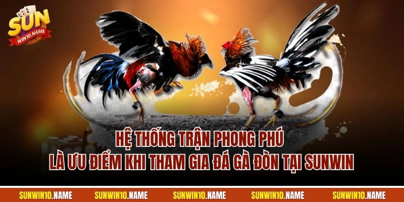 Hệ thống trận phong phú là ưu điểm khi tham gia đá gà đòn tại Sunwin